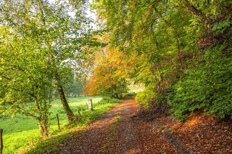 Wandern im Bergischen Land